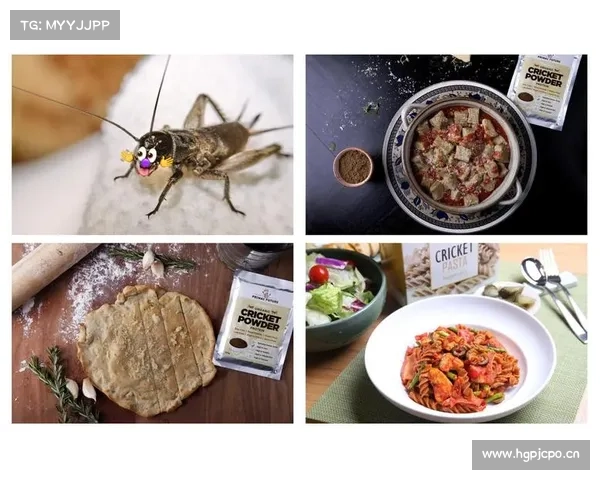 昆虫蛋白成为职业队饮食新宠助力球员恢复与表现提升 昆虫蛋白成为职业队饮食新宠助力球员恢复与表现提升